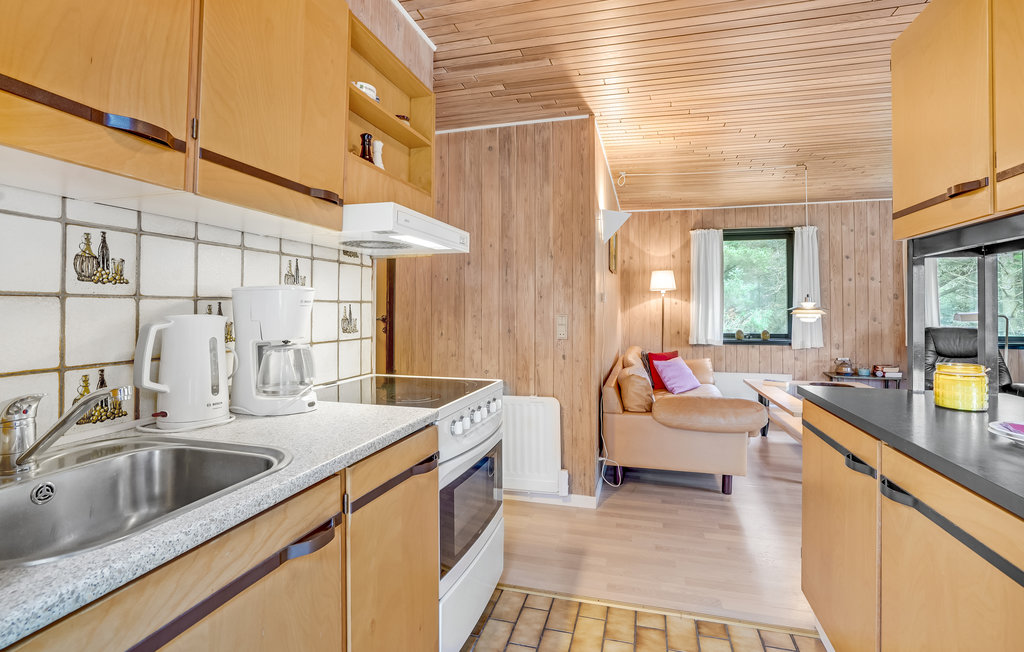 Semesterhus - Blåvand , Danmark - A3050 13