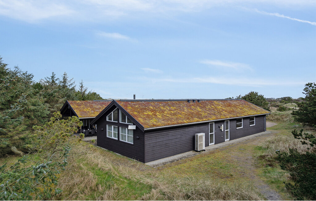 Ferienhaus - Blåvand Strand , Dänemark - A3025 12