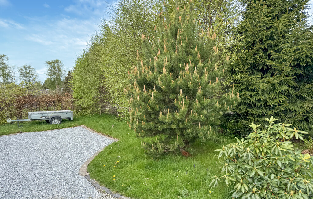 Domy wakacyjne - Hou Strand , Dania - A30017 10