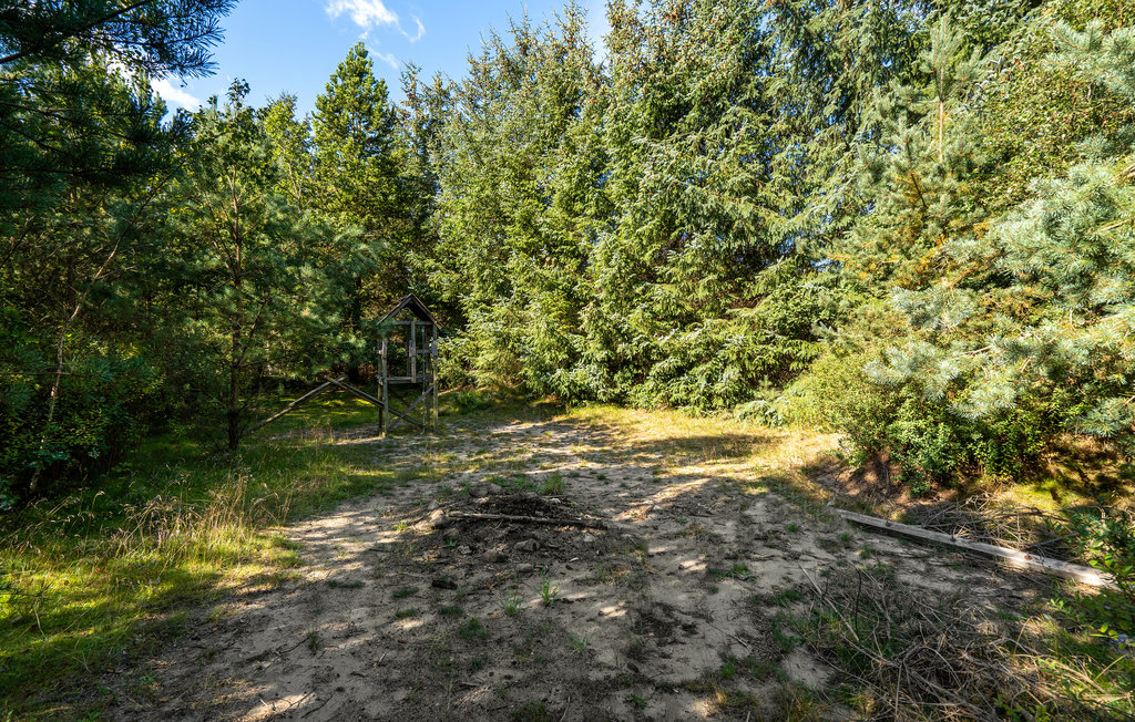 Bild 16