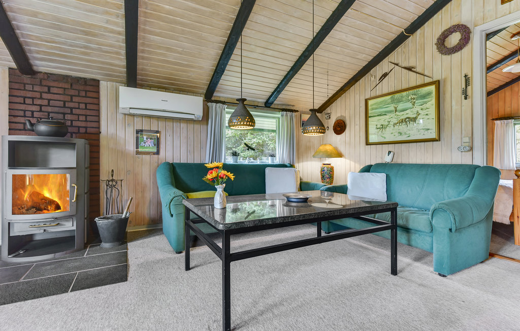 Ferienhaus - Ho-Blåvand , Dänemark - A3156 5