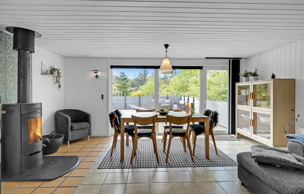 Ferienhaus - Ho-Blåvand , Dänemark - A3165 5