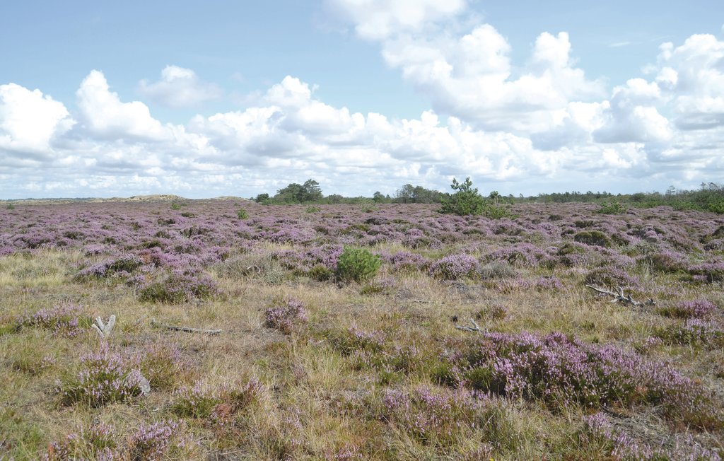 Semesterhus - Houstrup , Danmark - A3106 20