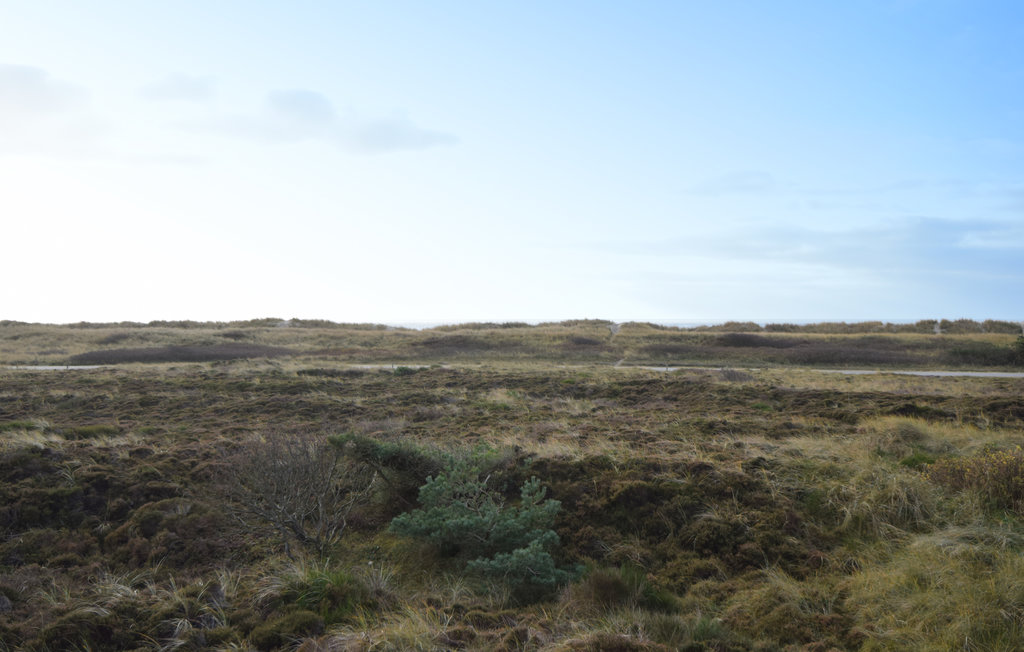 Semesterhus - Blåvand Strand , Danmark - A3128 36
