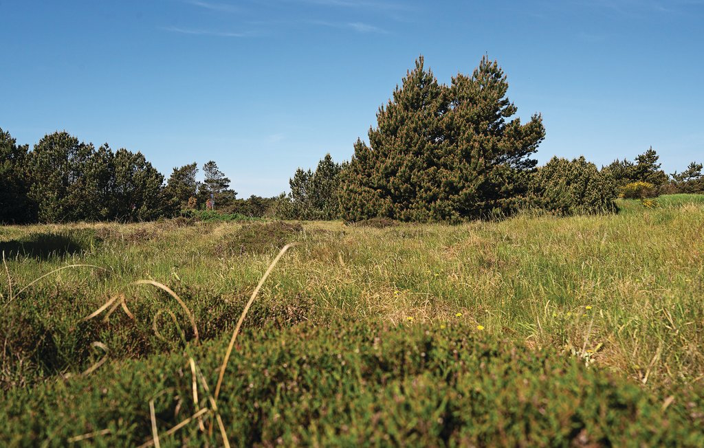 Feriehus - Blåvand Strand , Danmark - A3103 22