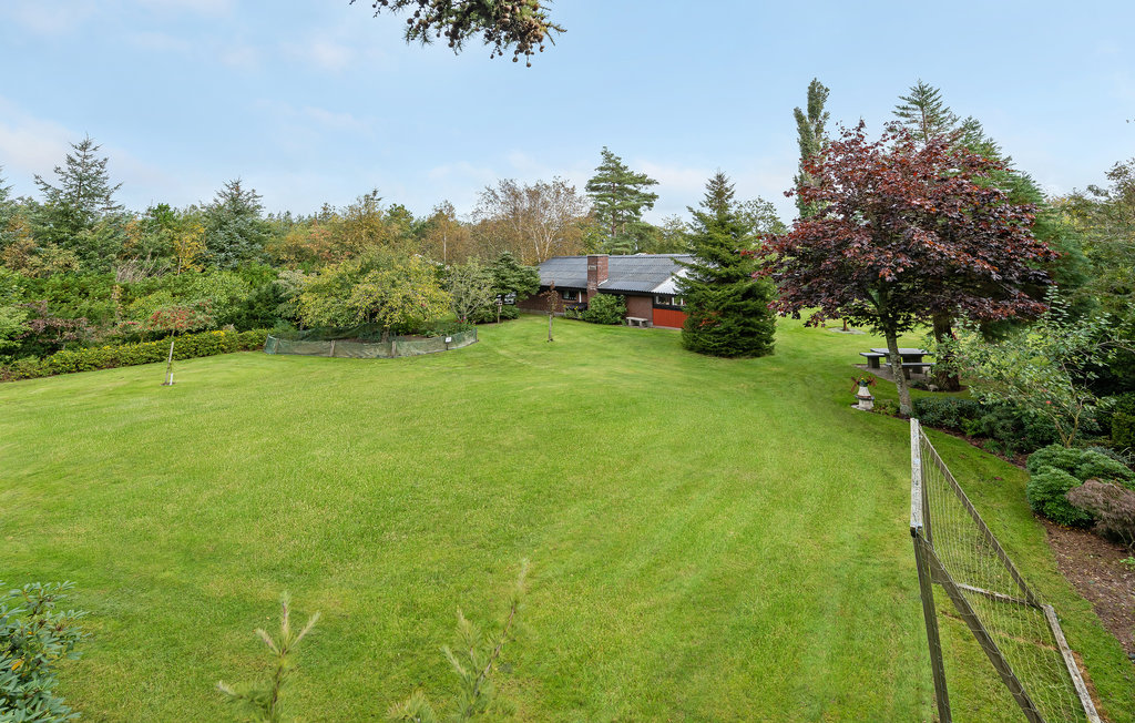 Ferienhaus - Ho-Blåvand , Dänemark - A3156 9