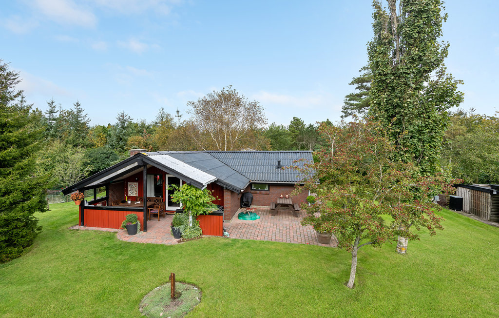 Ferienhaus - Ho-Blåvand , Dänemark - A3156 1