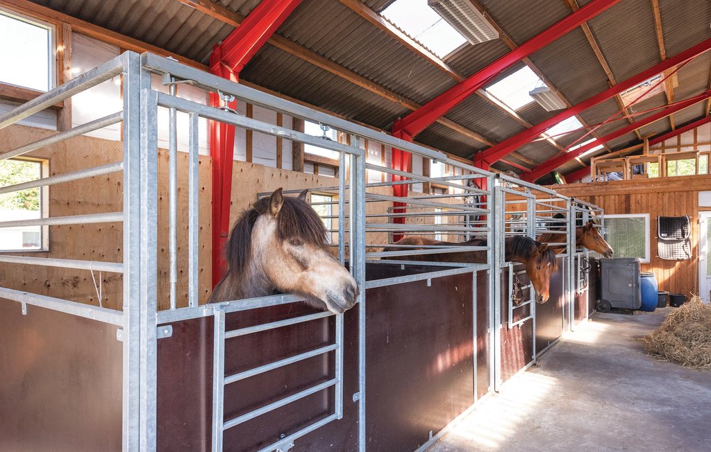 Feriehuse - Henne , Danmark - A3288 2