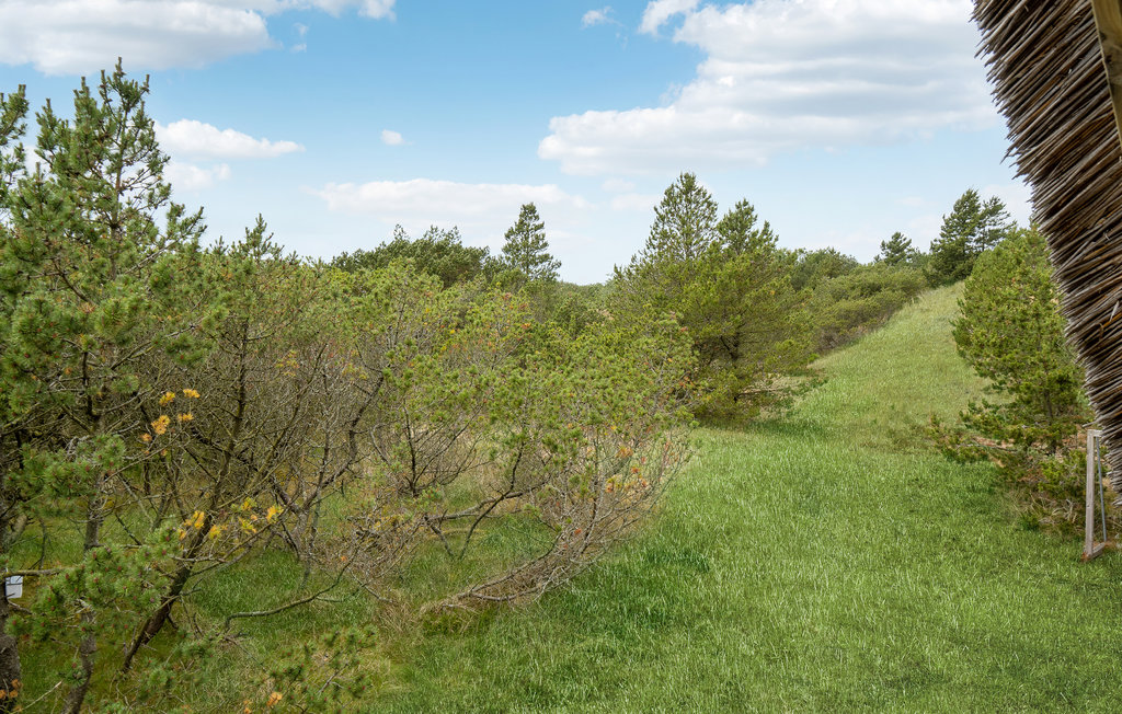 Semesterhus - Blåvand , Danmark - A3265 24