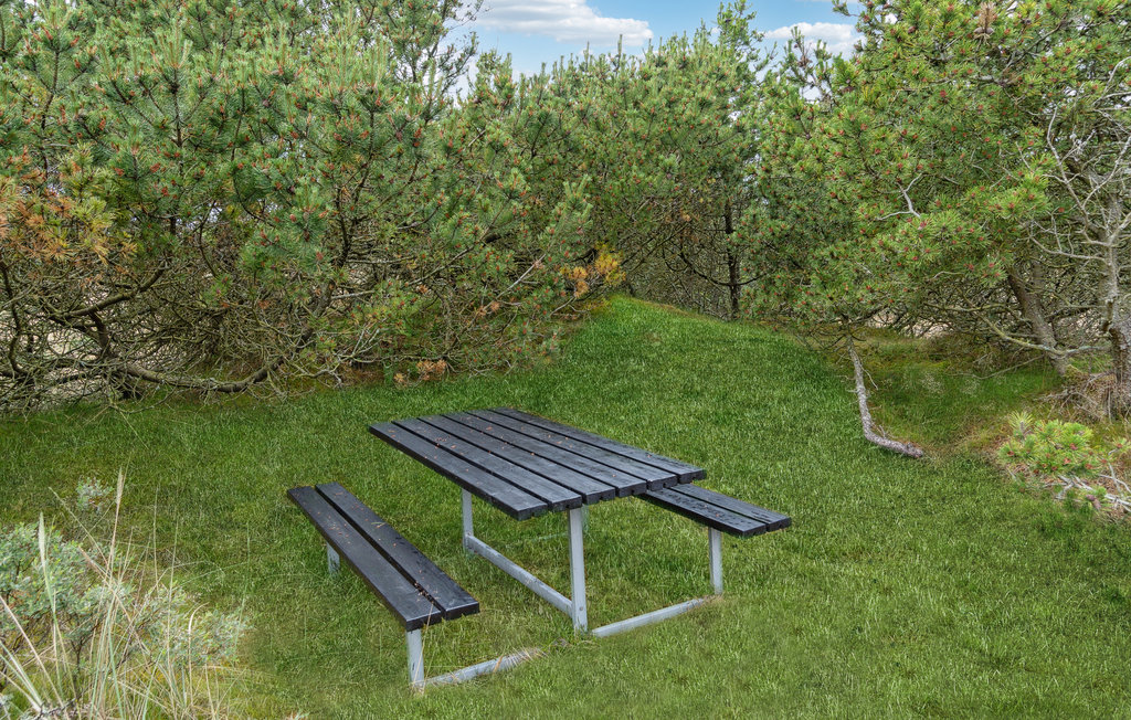 Semesterhus - Blåvand , Danmark - A3265 20