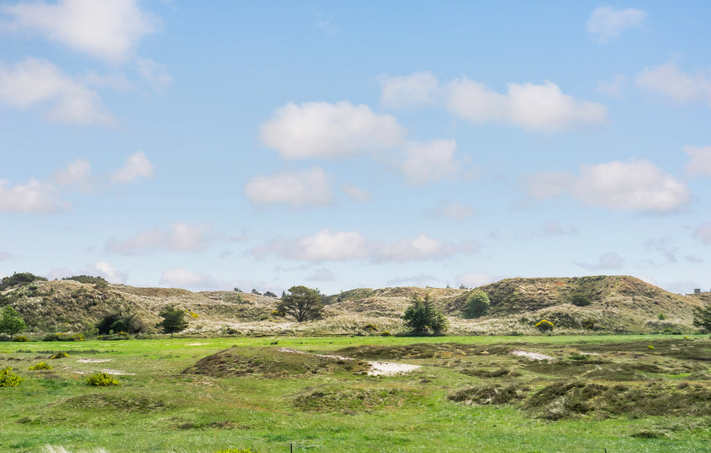 Ferienhaus - Blåvand , Dänemark - A3317 25