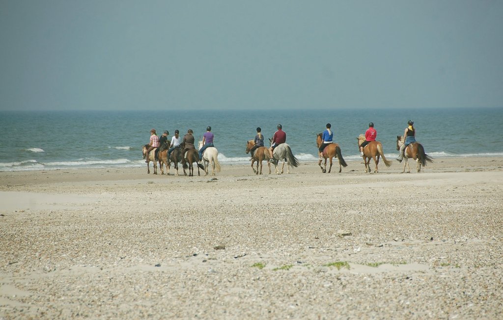 Feriehus - Ho-Blåvand , Danmark - A3303 16