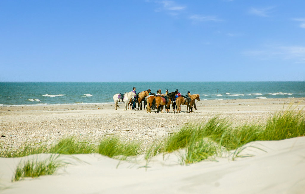 Semesterhus - Ho-Blåvand , Danmark - A3339 31