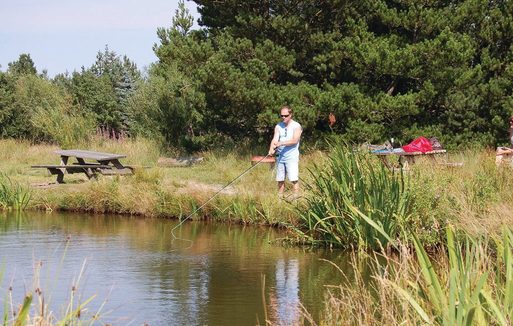 Ferienhaus - Blåvand , Dänemark - A3519 31
