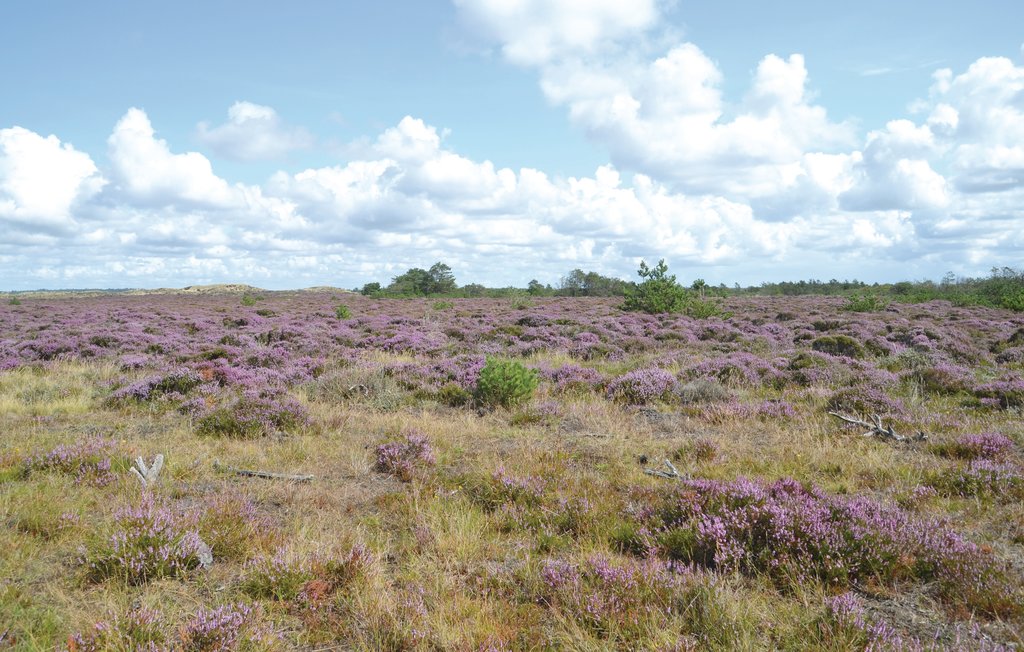 Ferienhaus - Vejers Strand , Dänemark - A3532 13