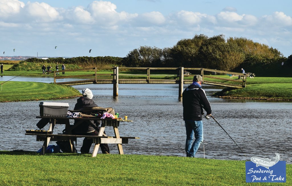 Semesterhus - Søndervig Strand , Danmark - A4030 21