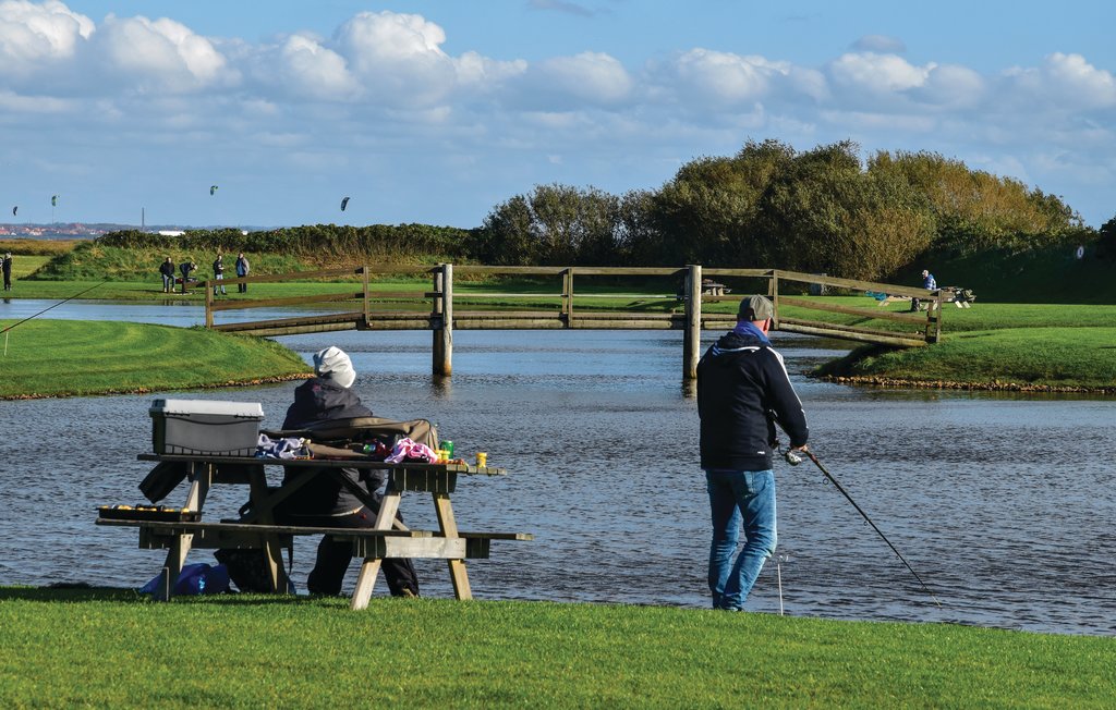 Feriehuse - Søndervig Strand , Danmark - A4077 27