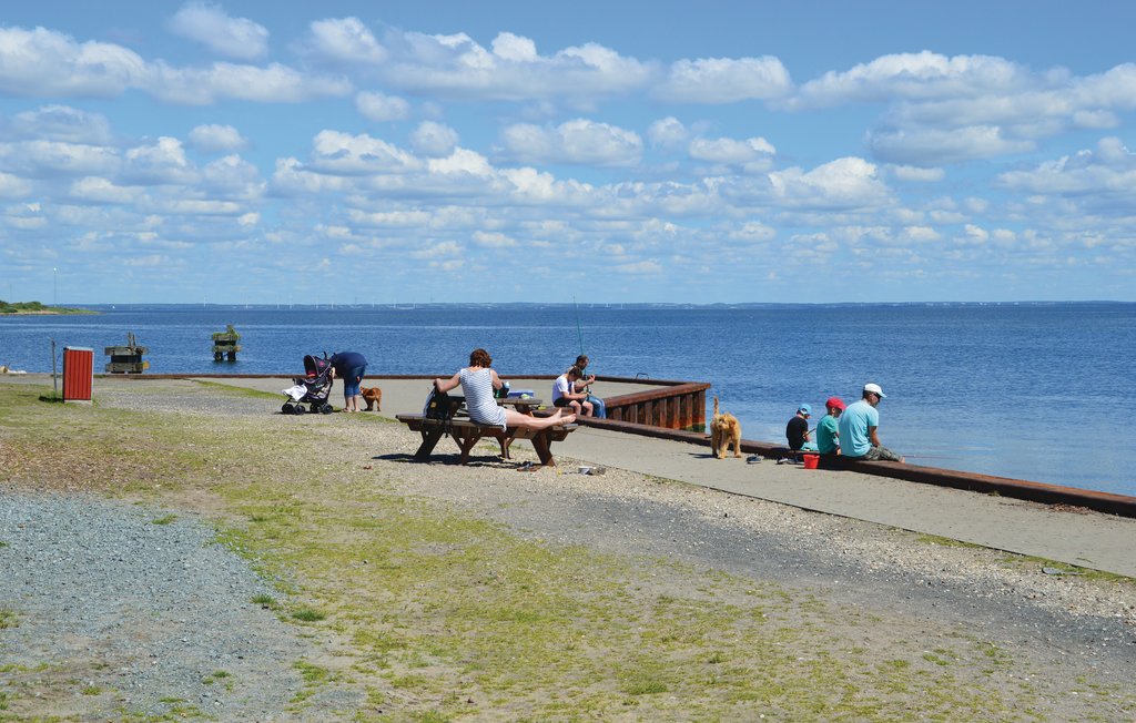Ferienhaus - Nr. Lyngvig Strand , Dänemark - A4037 18