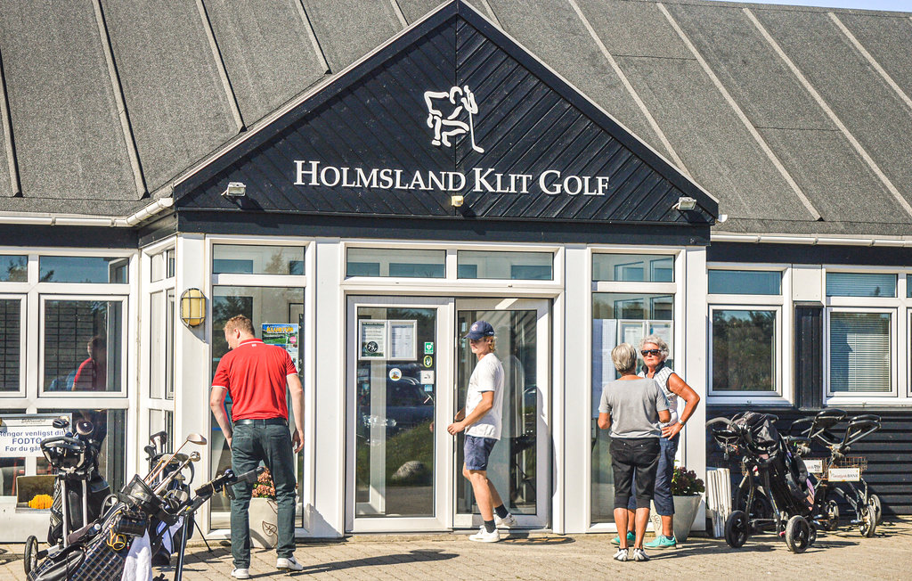 Ferienhaus - Søndervig/Lodbjerg Hede , Dänemark - A4040 40