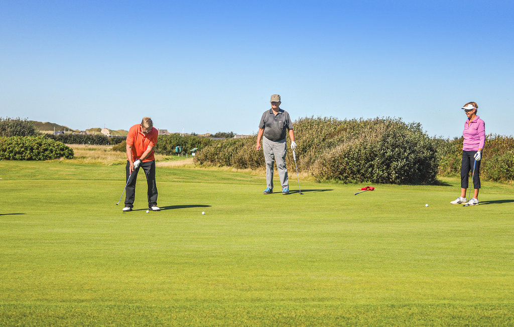 Ferienhaus - Søndervig/Lodbjerg Hede , Dänemark - A4040 41