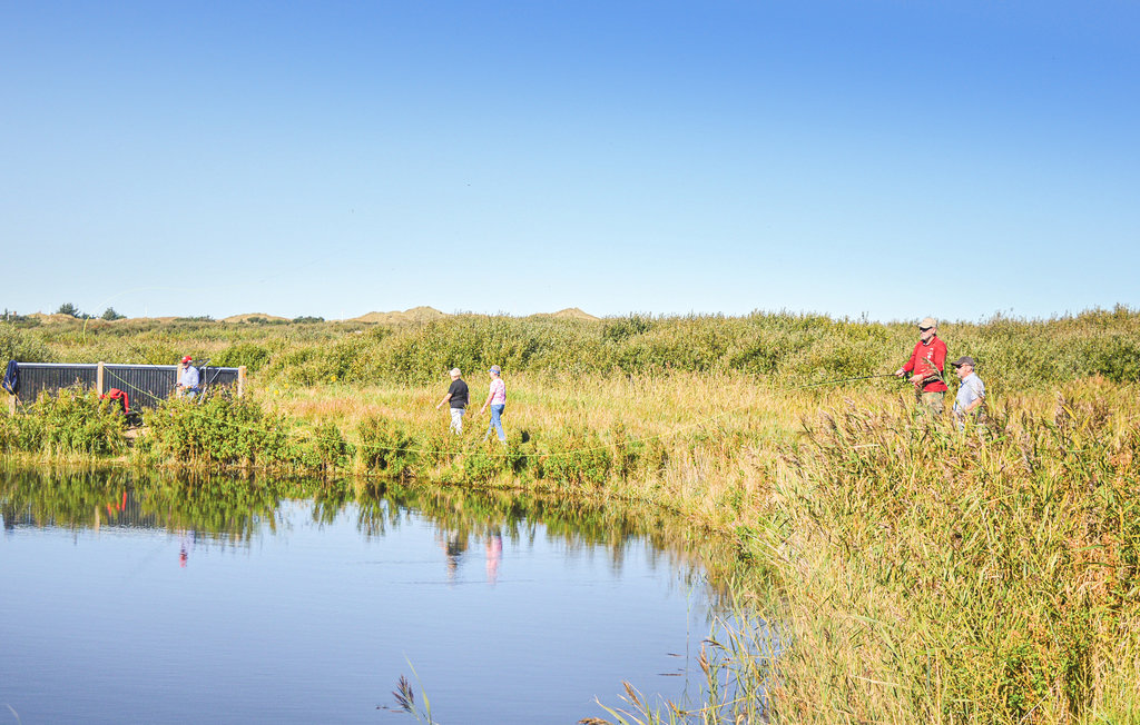 Ferienhaus - Søndervig/Lodbjerg Hede , Dänemark - A4040 39