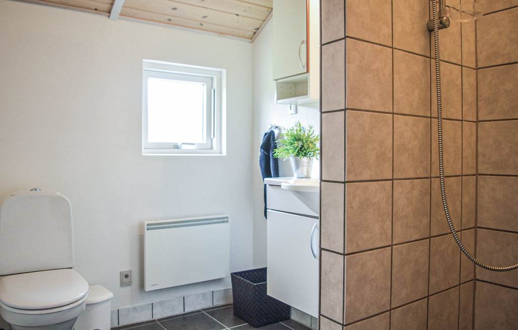 Ferienhaus - Søndervig/Lodbjerg Hede , Dänemark - A4040 32