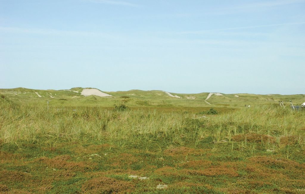 Ferienhaus - Skodbjerge Strand , Dänemark - A4152 14