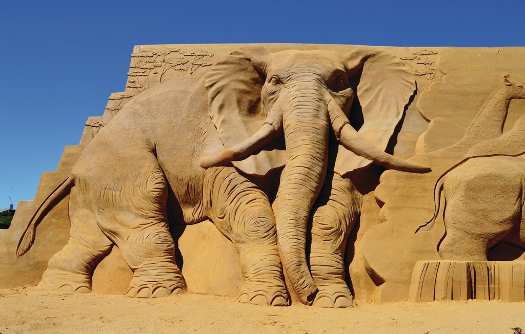 Semesterhus - Søndervig/Lodbjerg Hede , Danmark - A4150 29