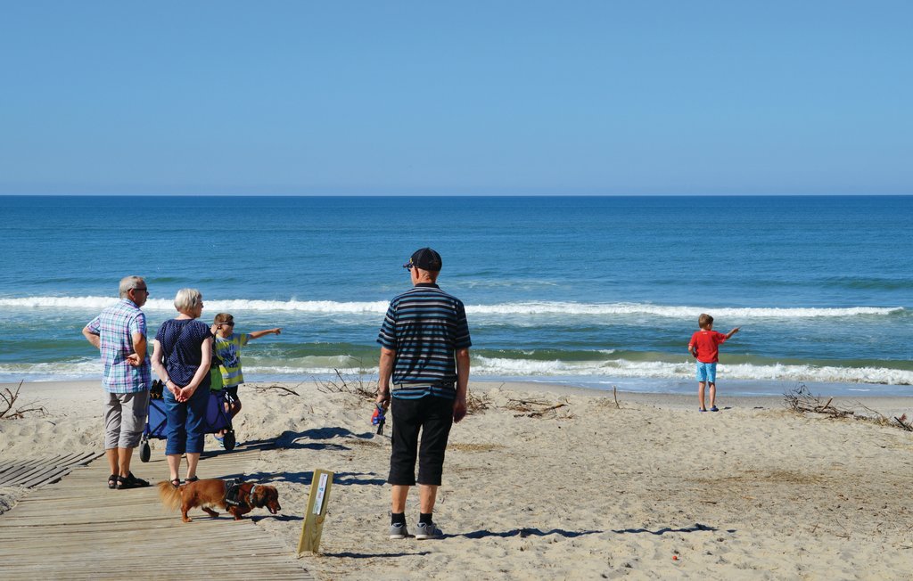 Semesterhus - Søndervig Strand , Danmark - A4162 31