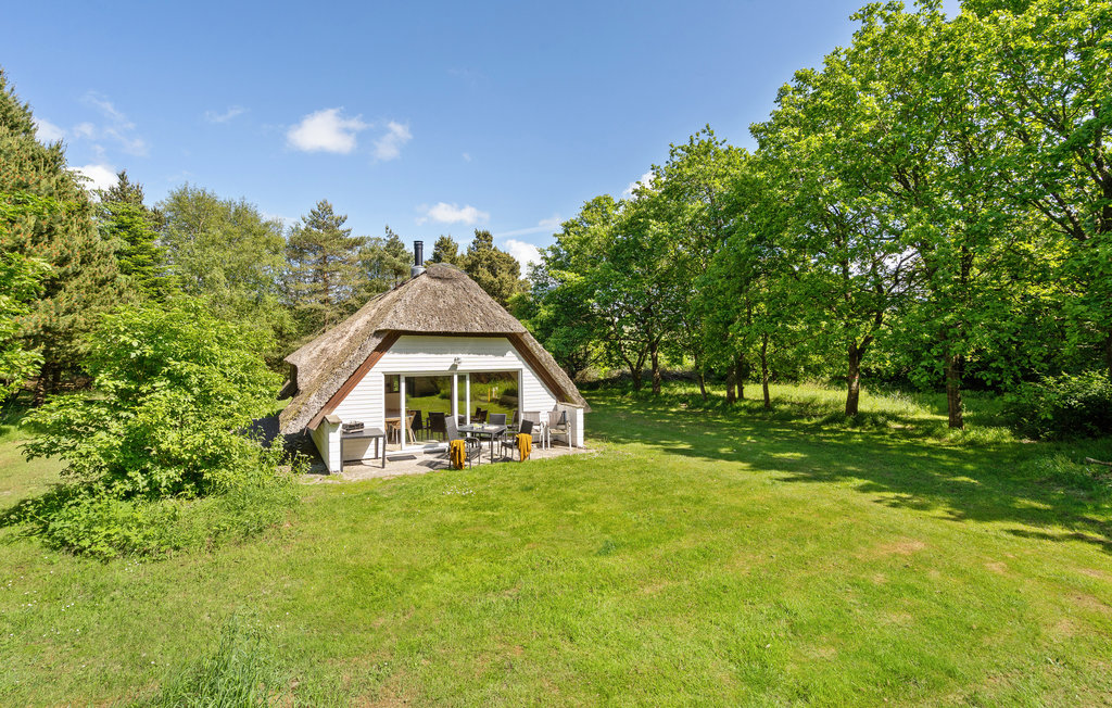 Feriehuse - Vedersø Klit/Vester Husby , Danmark - A4121 1