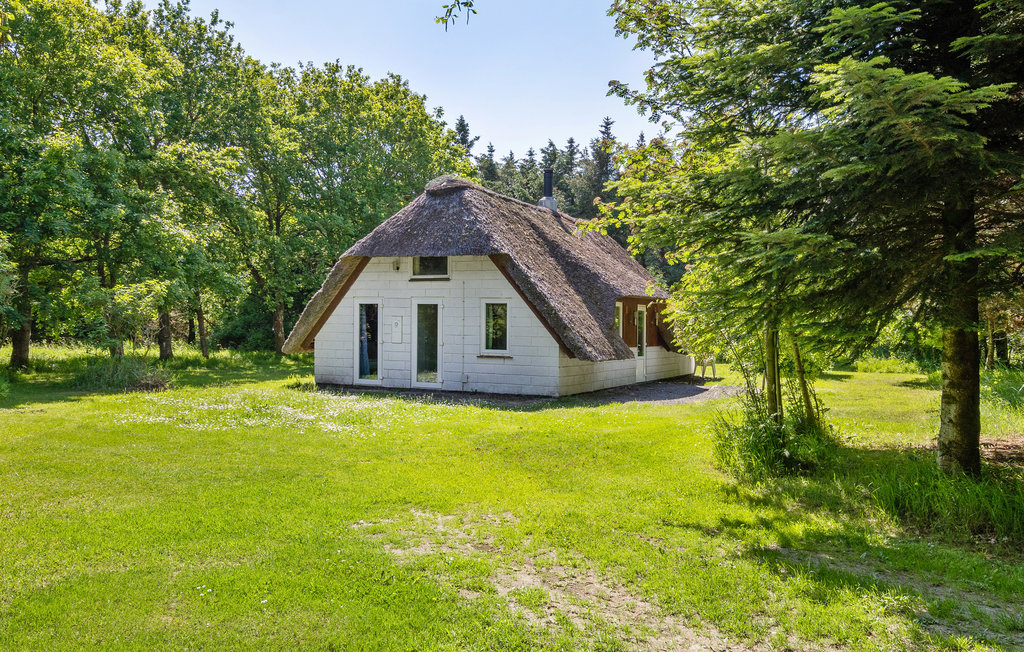 Feriehuse - Vedersø Klit/Vester Husby , Danmark - A4121 11