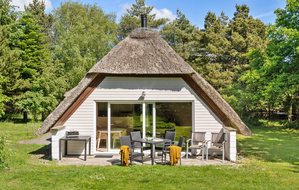 Feriehuse - Vedersø Klit/Vester Husby , Danmark - A4121 10