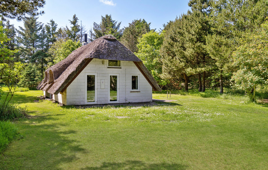Feriehuse - Vedersø Klit/Vester Husby , Danmark - A4121 12