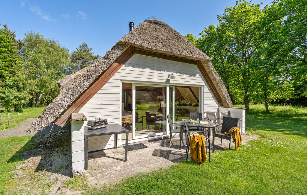 Feriehuse - Vedersø Klit/Vester Husby , Danmark - A4121 8