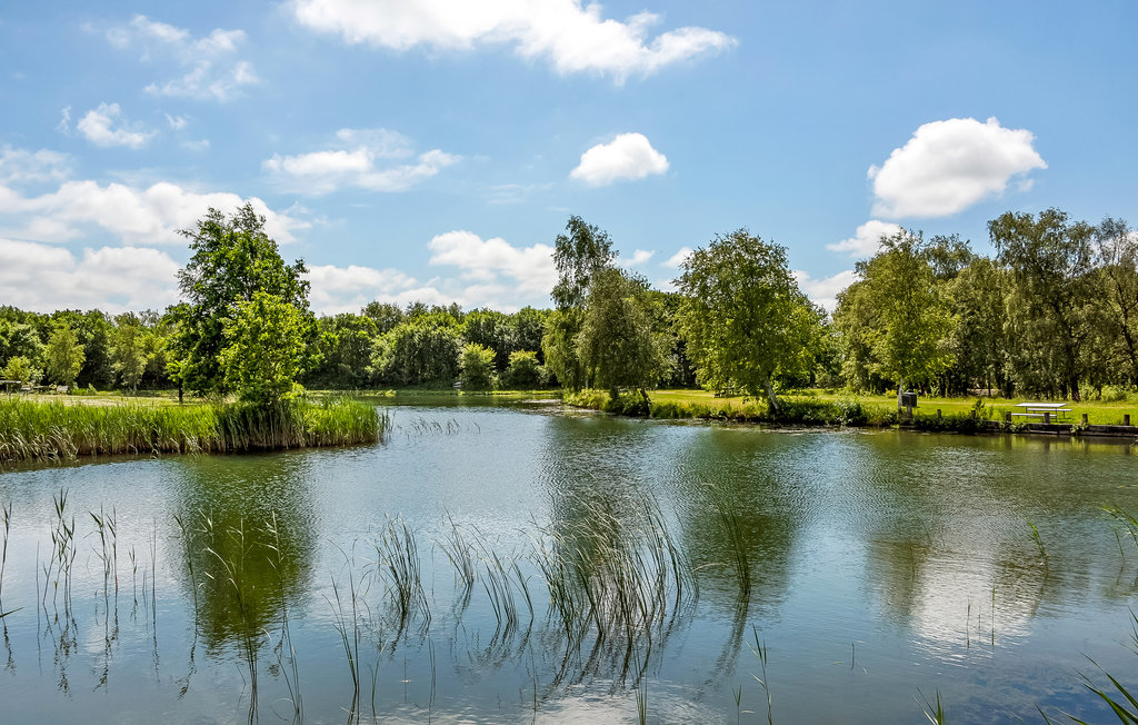 Feriehuse - Ringkøbing , Danmark - A4226 15