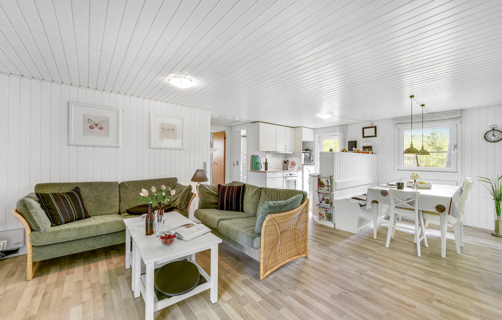 Feriehuse - Søndervig/Lodbjerg Hede , Danmark - A4273 3