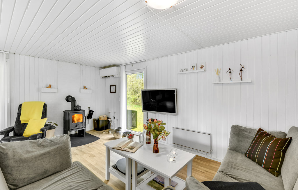 Feriehuse - Søndervig/Lodbjerg Hede , Danmark - A4273 4
