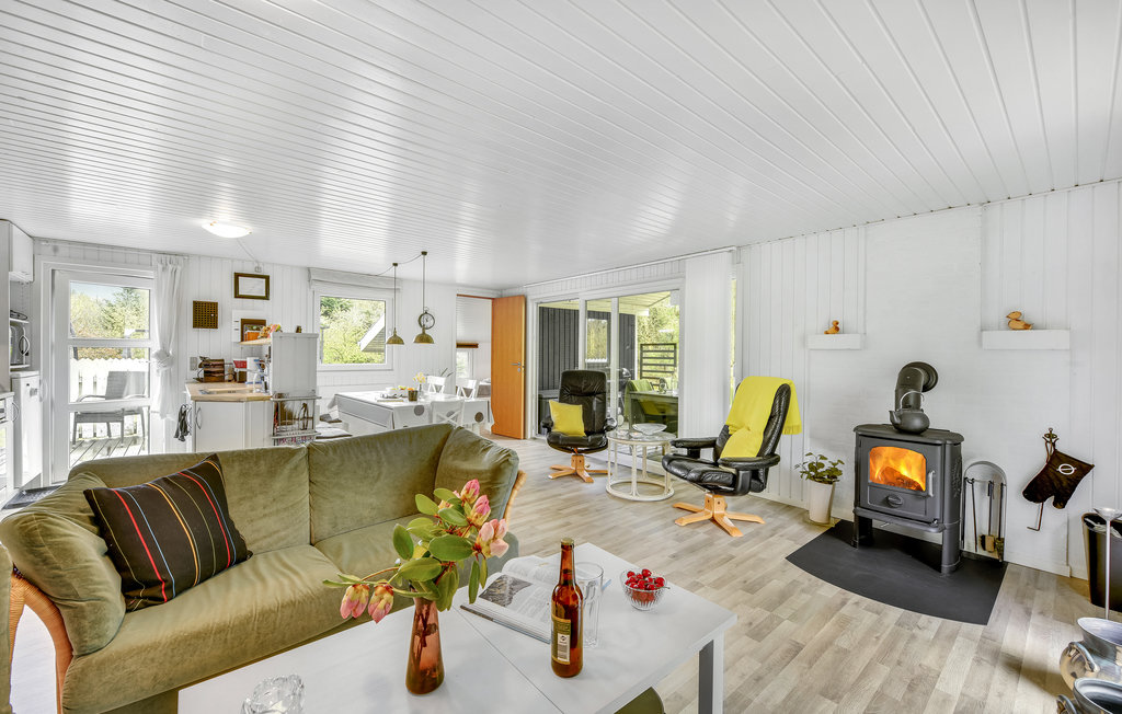 Feriehuse - Søndervig/Lodbjerg Hede , Danmark - A4273 5