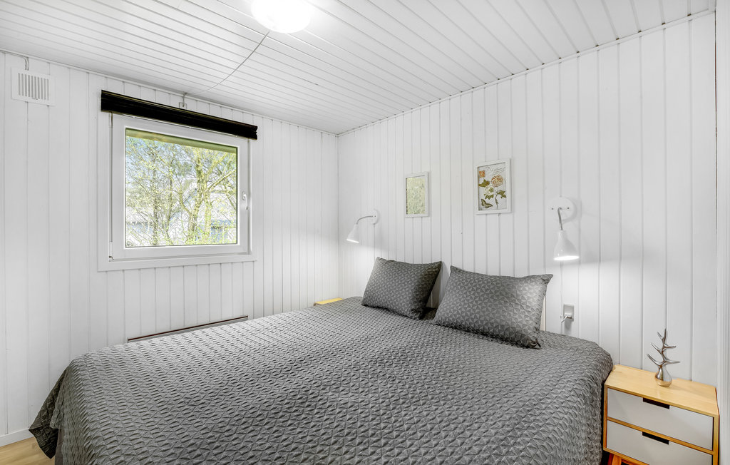 Feriehuse - Søndervig/Lodbjerg Hede , Danmark - A4273 20