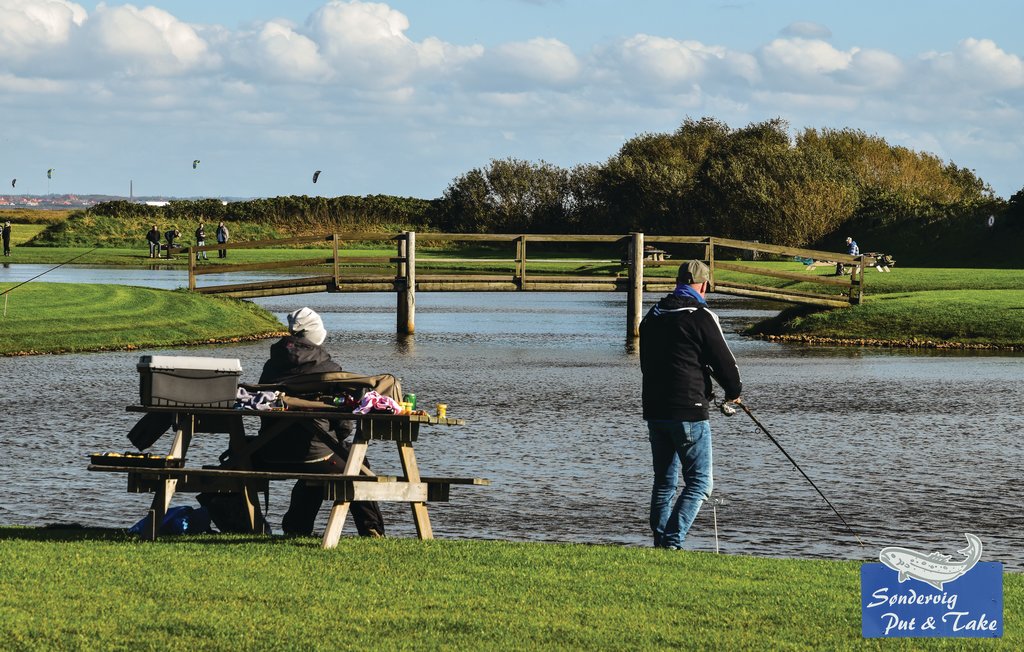 Semesterhus - Søndervig Strand , Danmark - A4291 12