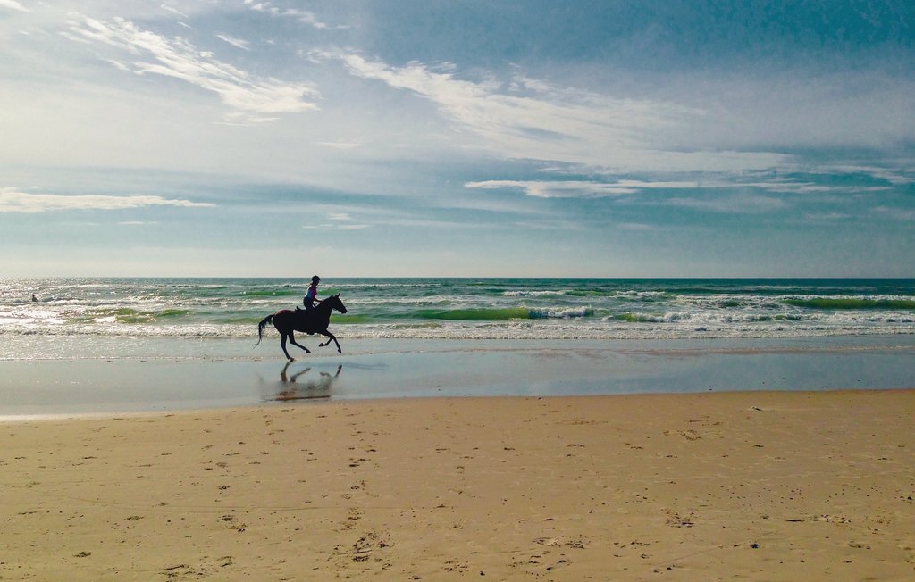 Feriehuse - Klegod Strand , Danmark - A4262 24