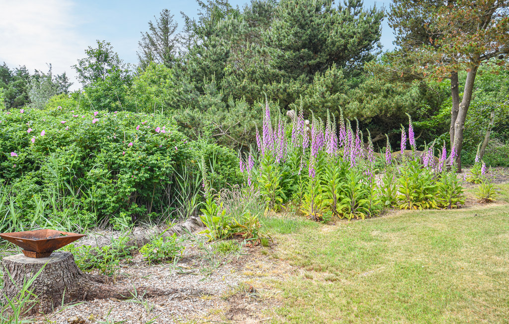 Feriehuse - Vedersø Klit , Danmark - A4299 22