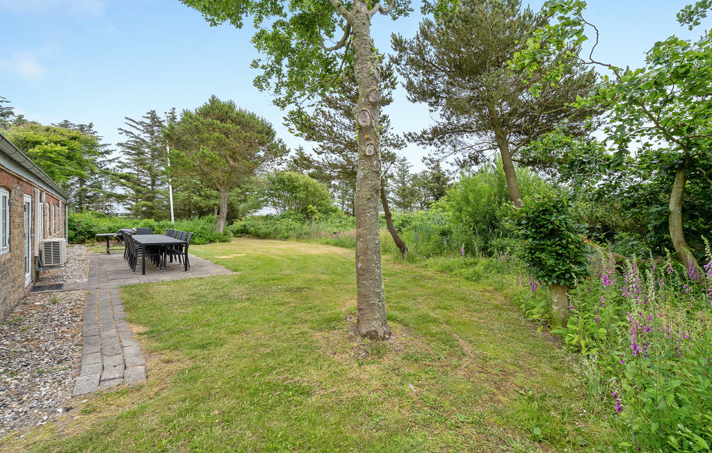 Feriehuse - Vedersø Klit , Danmark - A4299 18