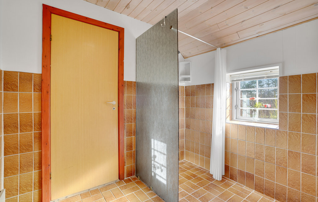 Feriehuse - Vedersø Klit , Danmark - A4299 44