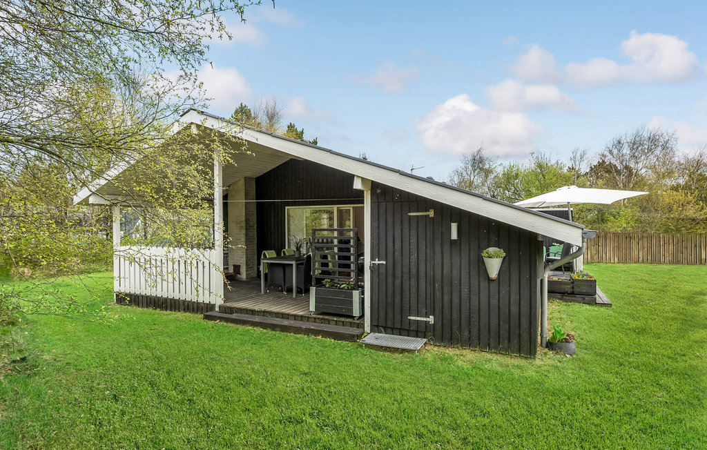 Feriehuse - Søndervig/Lodbjerg Hede , Danmark - A4273 11
