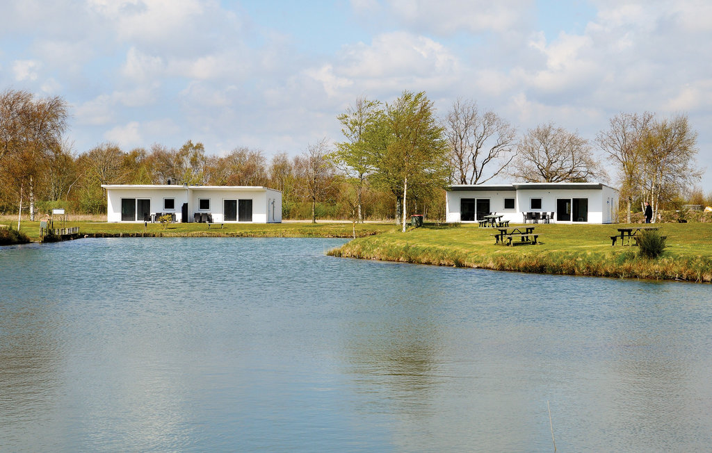 Feriehus - Ringkøbing , Danmark - A4227 4