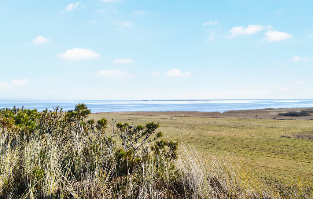 Feriehuse - Skodbjerge Strand , Danmark - A4326 10