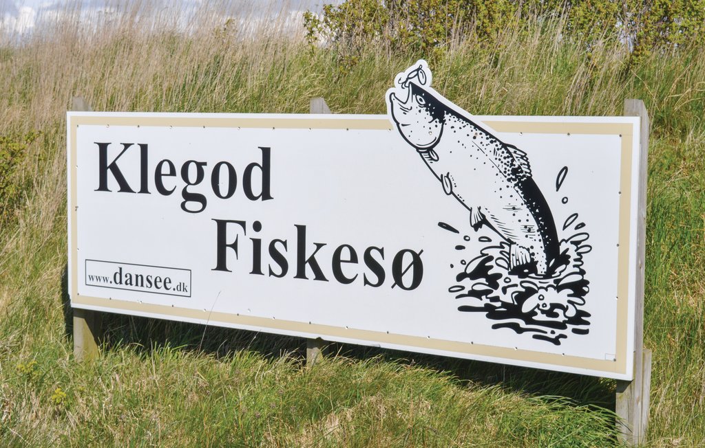 Feriehuse - Nr. Lyngvig Strand , Danmark - A4455 23