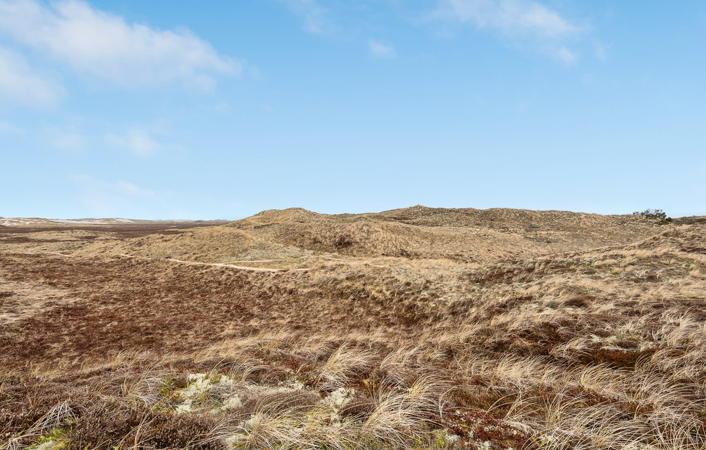 Semesterhus - Skodbjerge Strand , Danmark - A4553 19