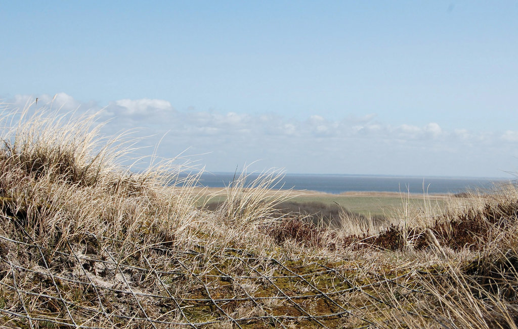 Feriehus - Skodbjerge Strand , Danmark - A4552 21